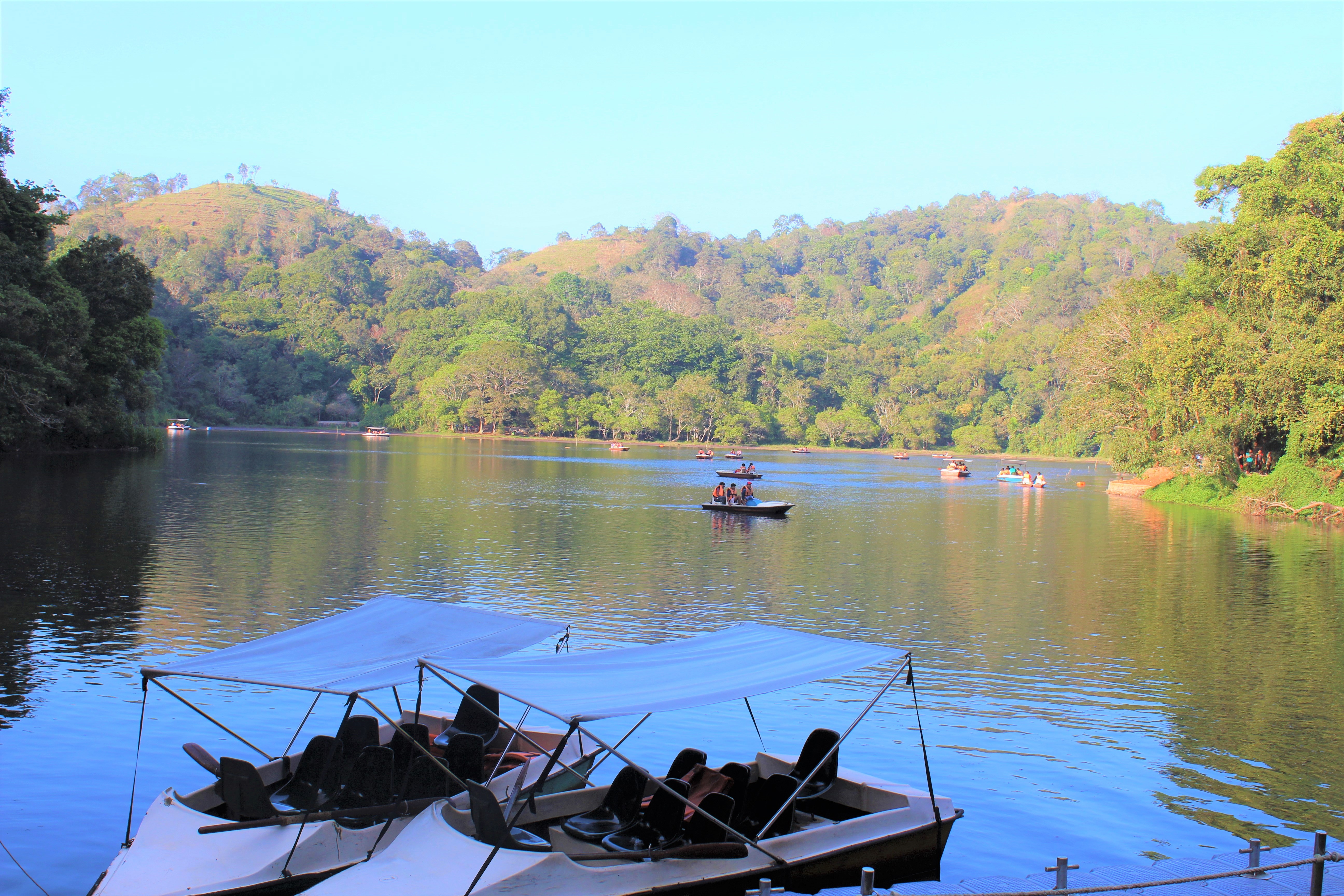 Pookode Lake
