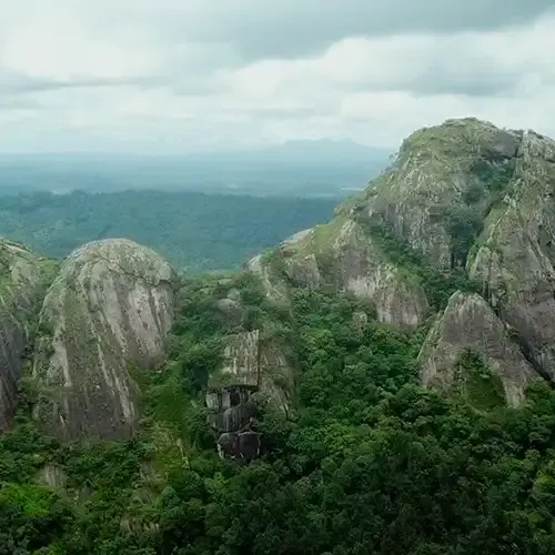 Wayanad Landscape